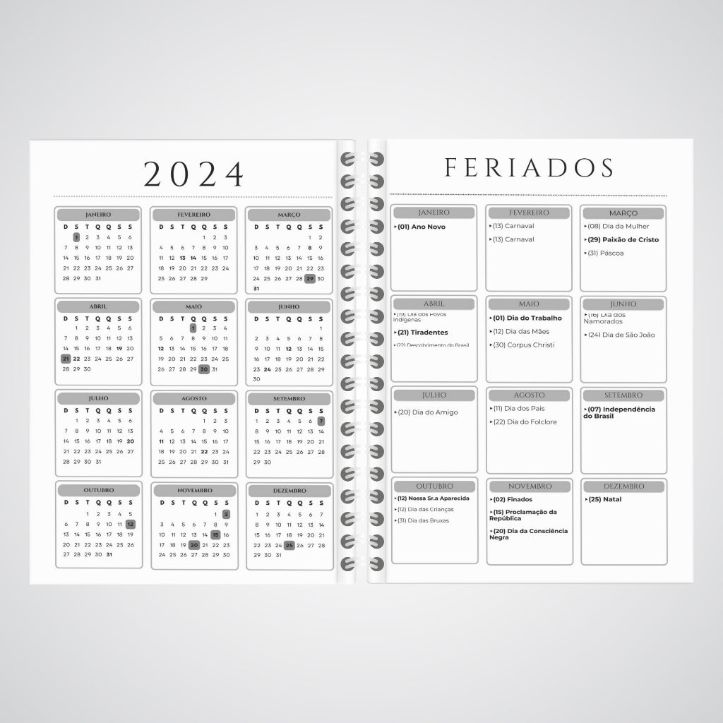 Planner Controle Financeiro 2025