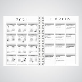 Planner Controle Financeiro 2025