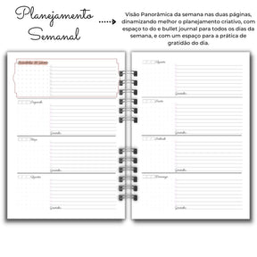 Planner Estratégico Anual