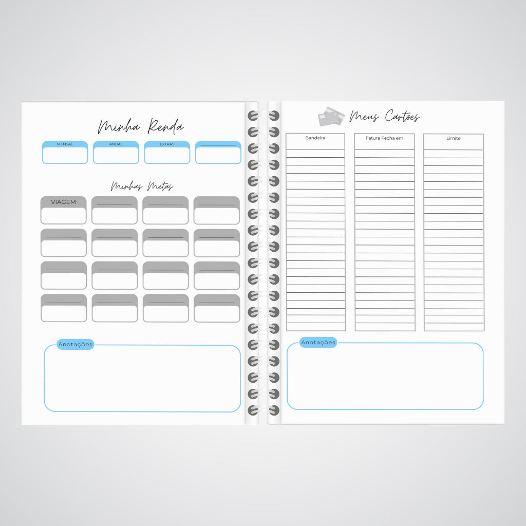 Planner Controle Financeiro 2025