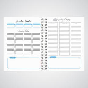 Planner Controle Financeiro 2025