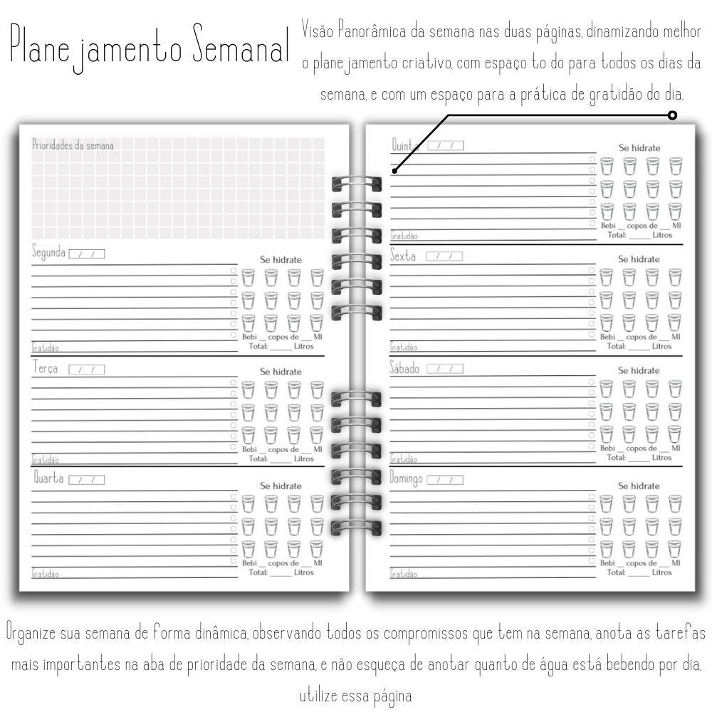 Planner Estratégico 2025