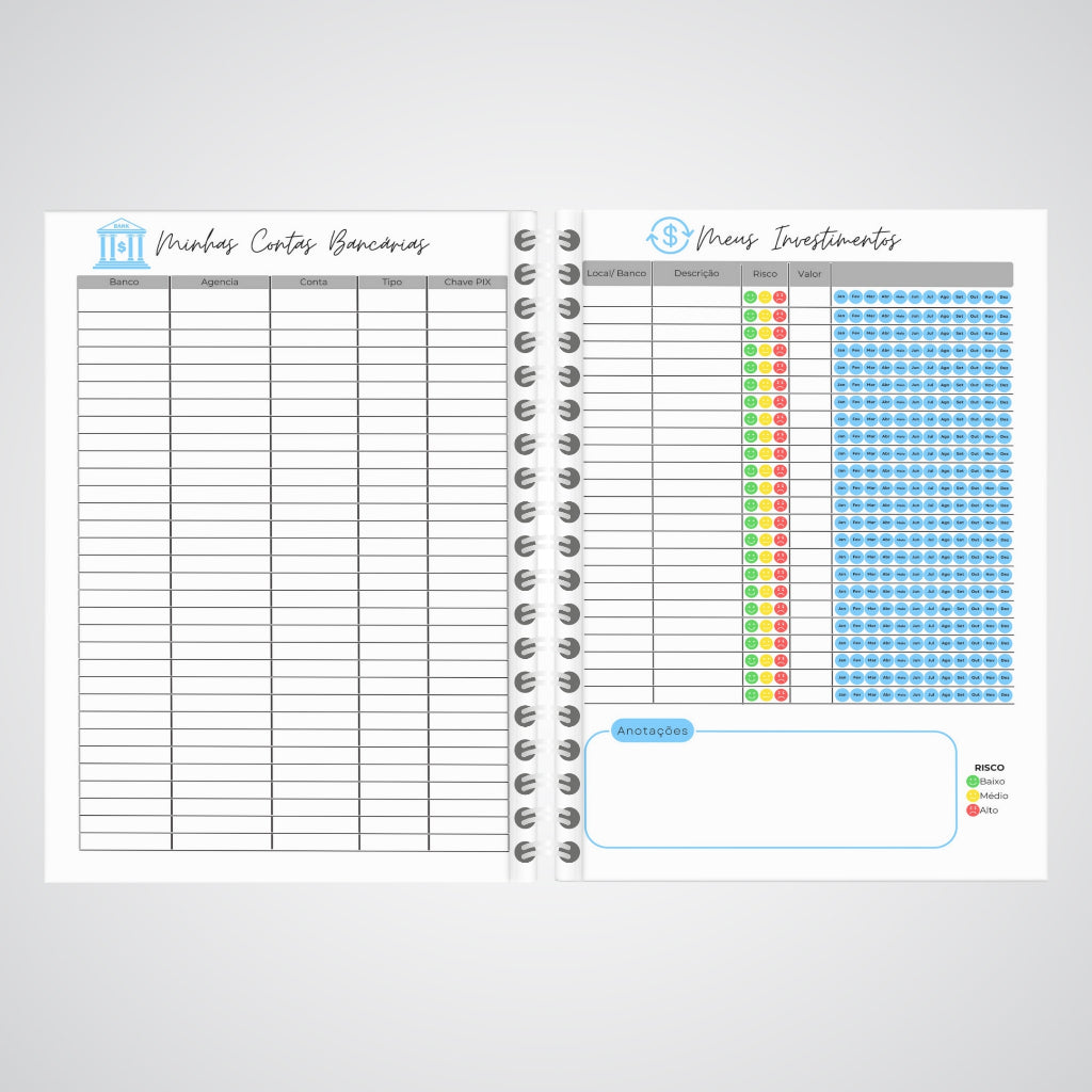 Planner Controle Financeiro 2025